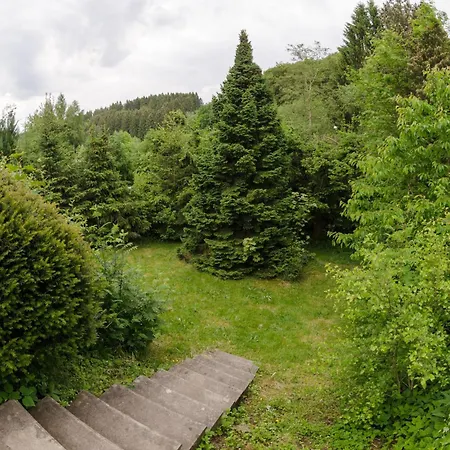 Schwedenhaus Kaminzauber Dom wakacyjny Willingen (Upland)