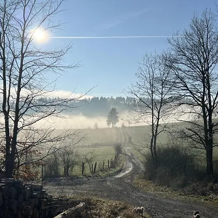 Schwedenhaus Kaminzauber Hébergement de vacances Willingen (Upland)