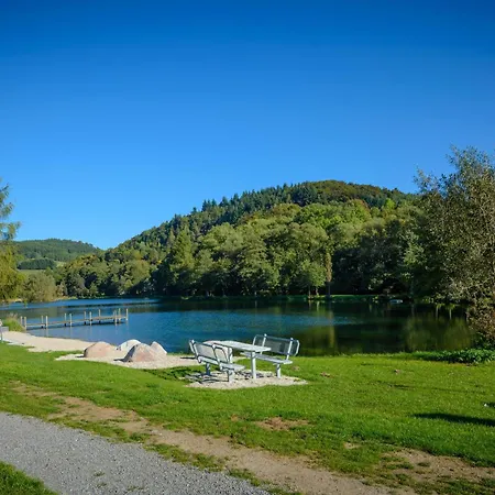 Schwedenhaus Kaminzauber Dom wakacyjny Willingen (Upland)