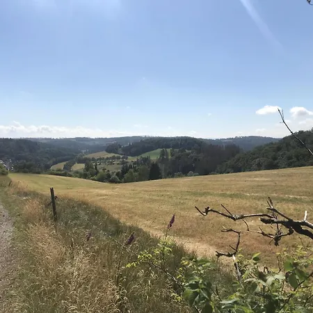 Hébergement de vacances Schwedenhaus Kaminzauber Willingen (Upland)