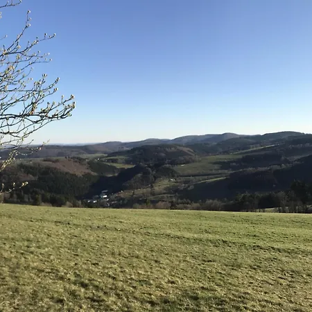 Schwedenhaus Kaminzauber Hébergement de vacances Willingen (Upland)