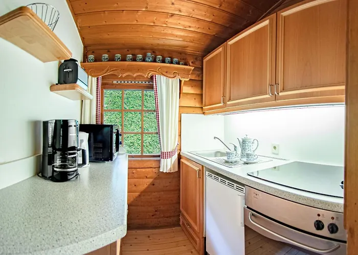 Schwedenhaus Kaminzauber Tatil Evi Willingen (Upland)