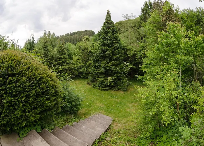 Schwedenhaus Kaminzauber Tatil Evi Willingen (Upland)