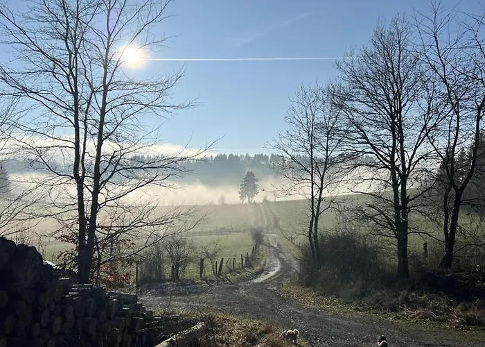Schwedenhaus Kaminzauber Tatil Evi Willingen (Upland)