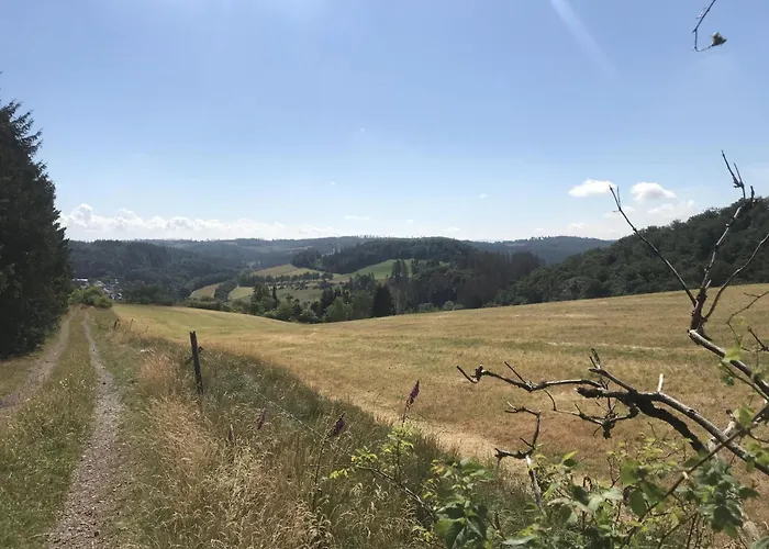 Schwedenhaus Kaminzauber * Willingen (Upland)