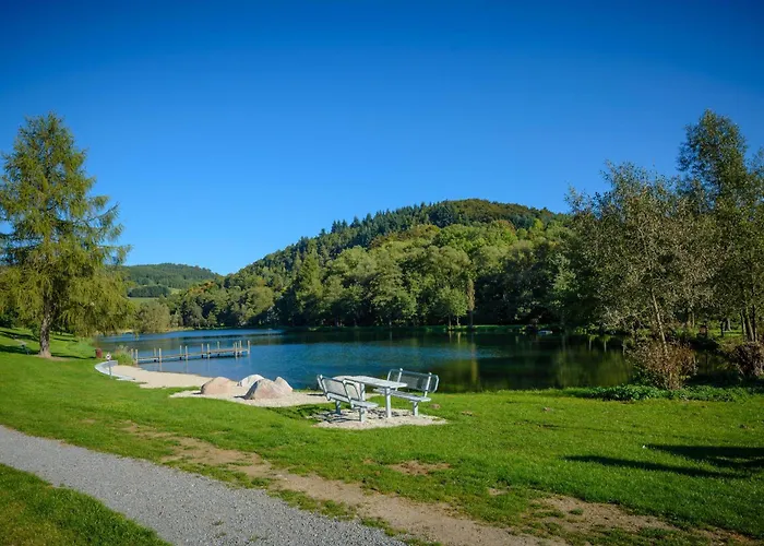 Schwedenhaus Kaminzauber Tatil Evi Willingen (Upland)